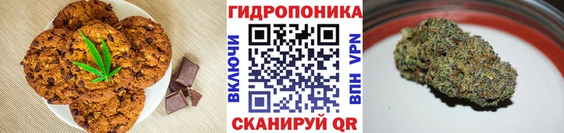 Canna-Cookies конопля  где можно купить   Маркс 