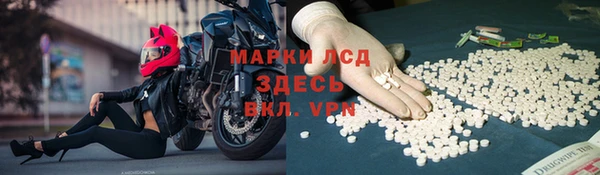 стафф Белокуриха
