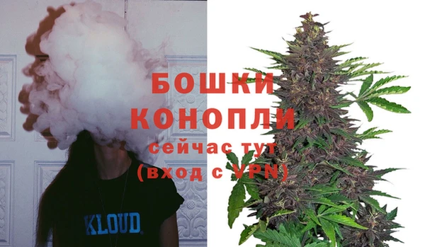 стафф Белокуриха