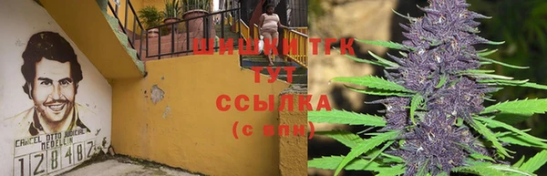 стафф Белокуриха