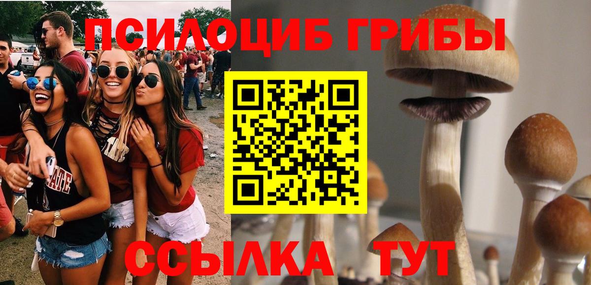 Псилоцибиновые грибы Cubensis Маркс