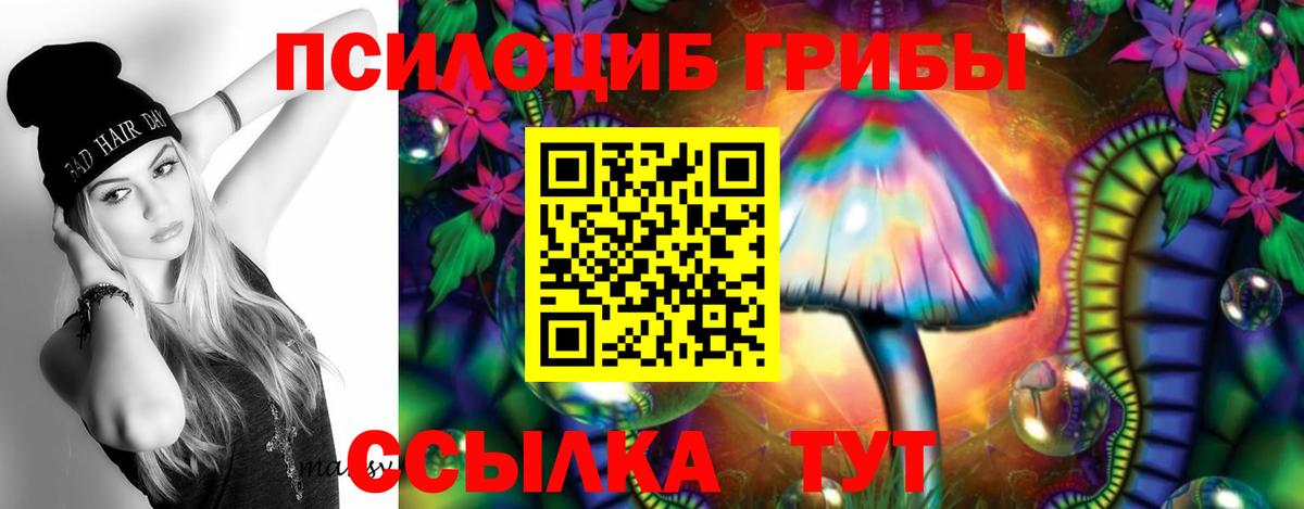 Псилоцибиновые грибы Psilocybine cubensis  Вход с VPN  где найти наркотики  Маркс 